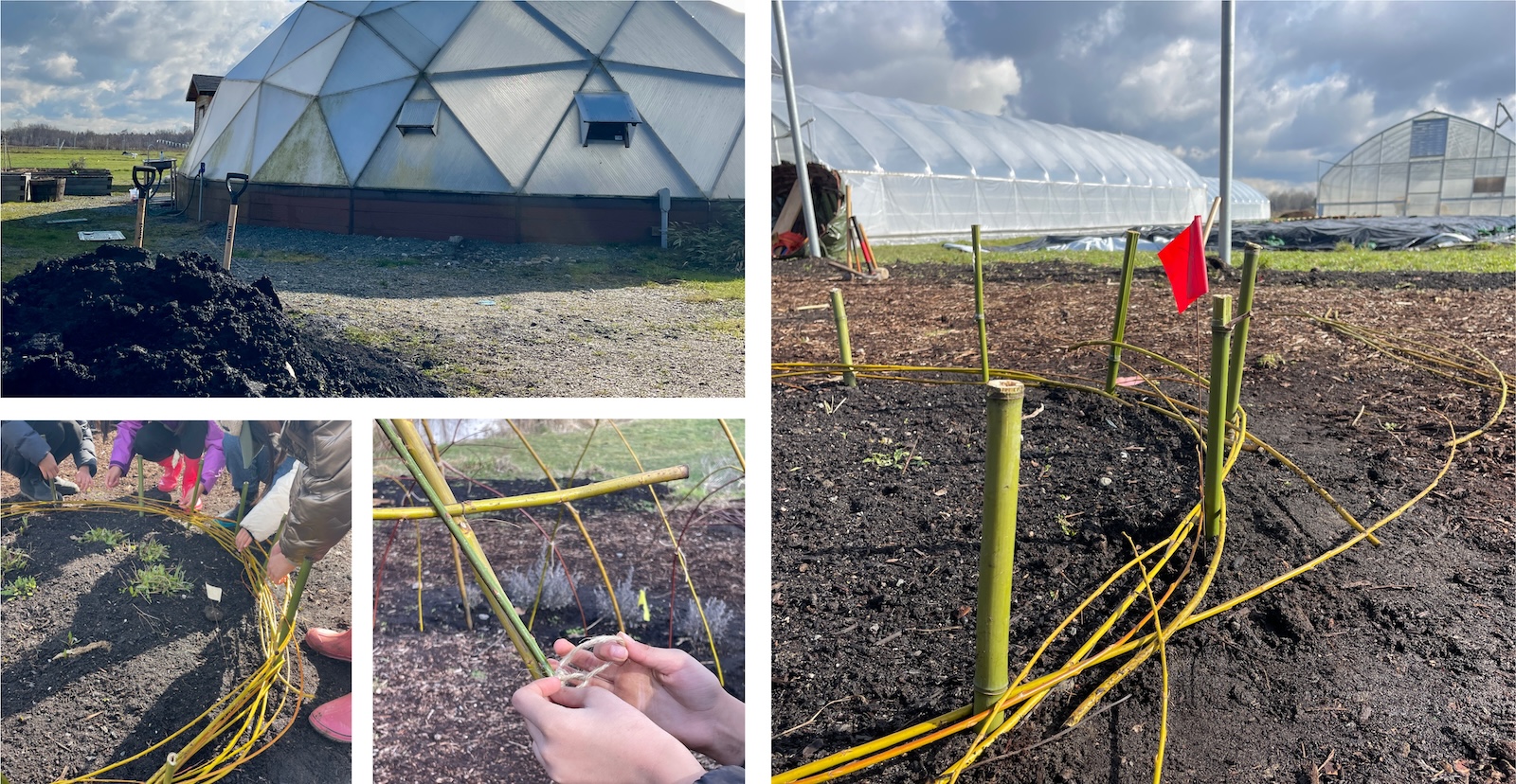 Cultivating Sustainability