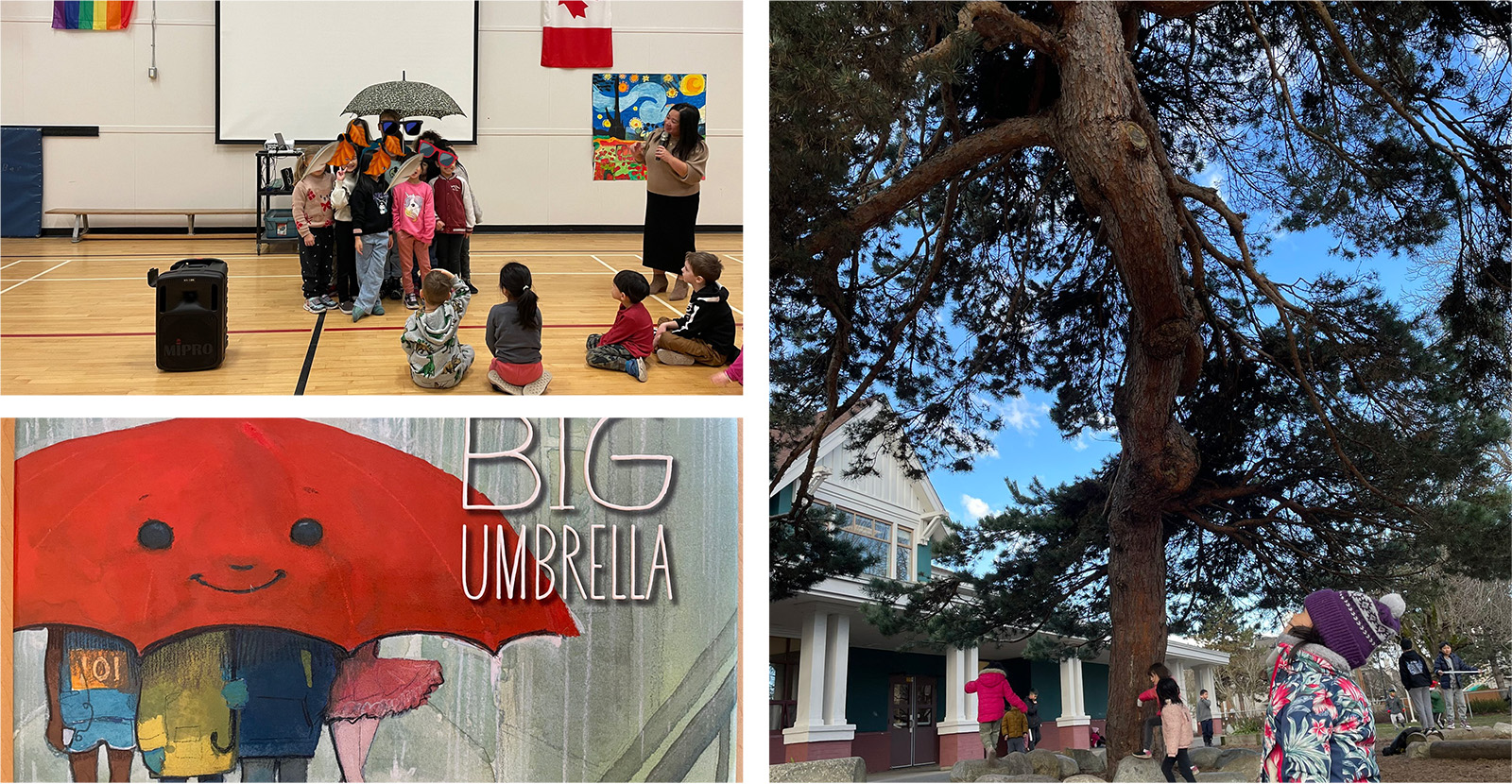 The Big Umbrella
