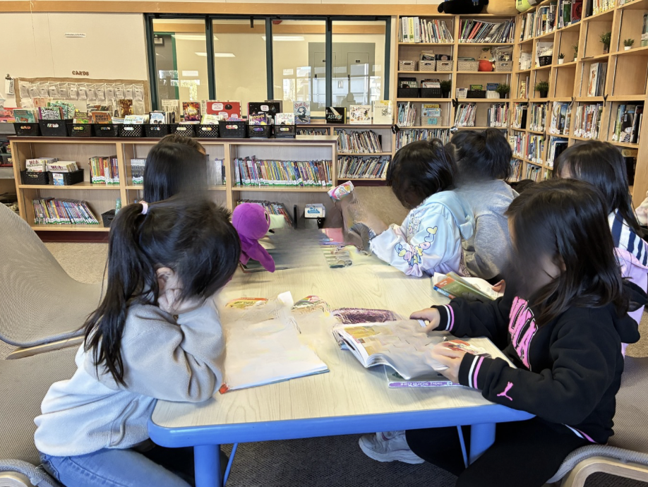 Building Literacy Skills Through Targeted Instruction