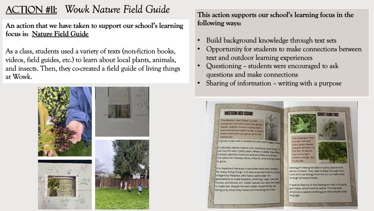 Nature Field Guide