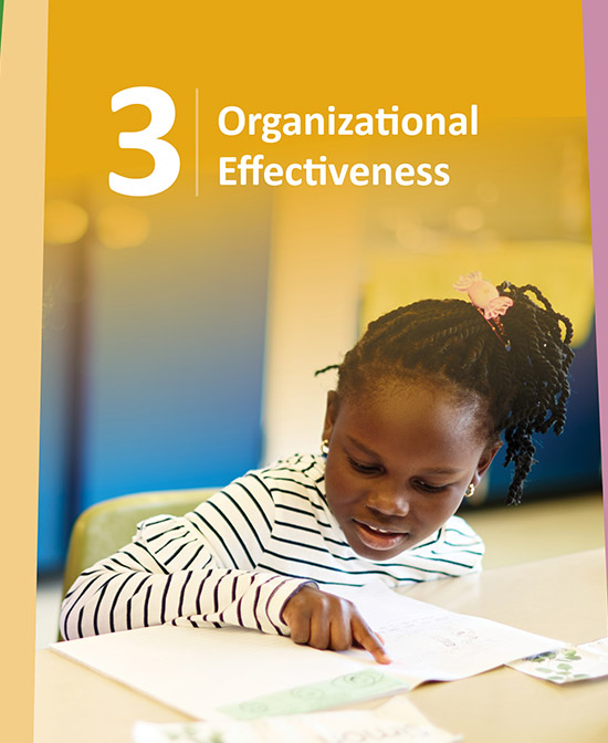 Strategic Priority 3