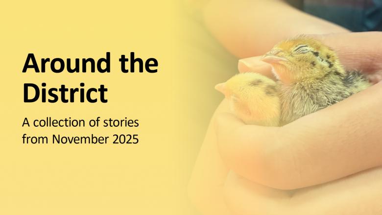 Around the District - November 2025