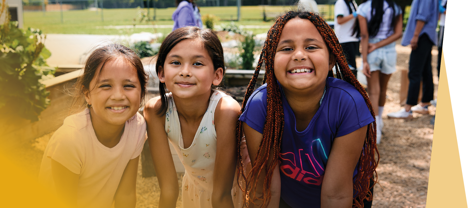 Strategic Priority 3