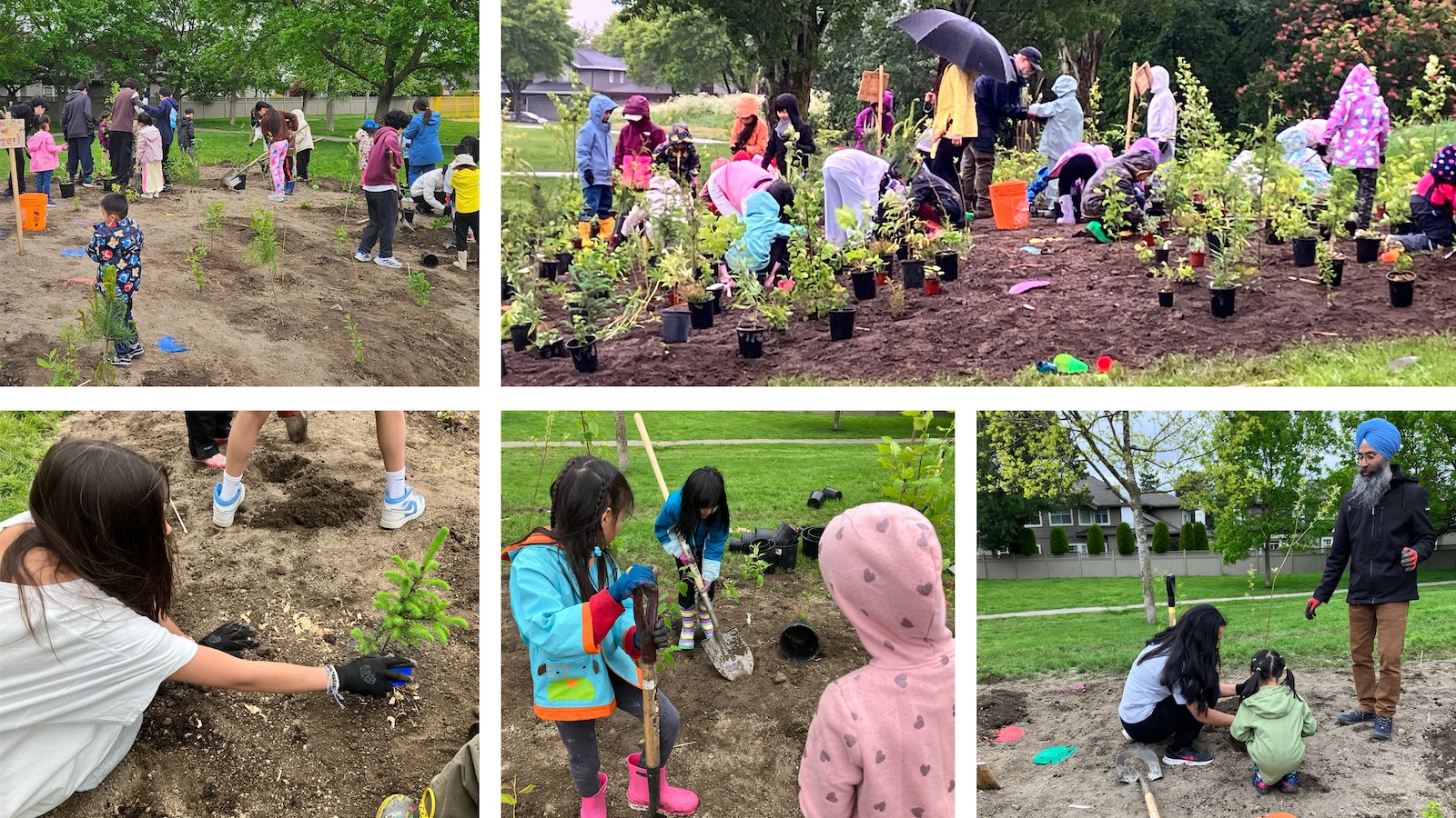 Students gathered to plant a Pocket Forest on their school grounds