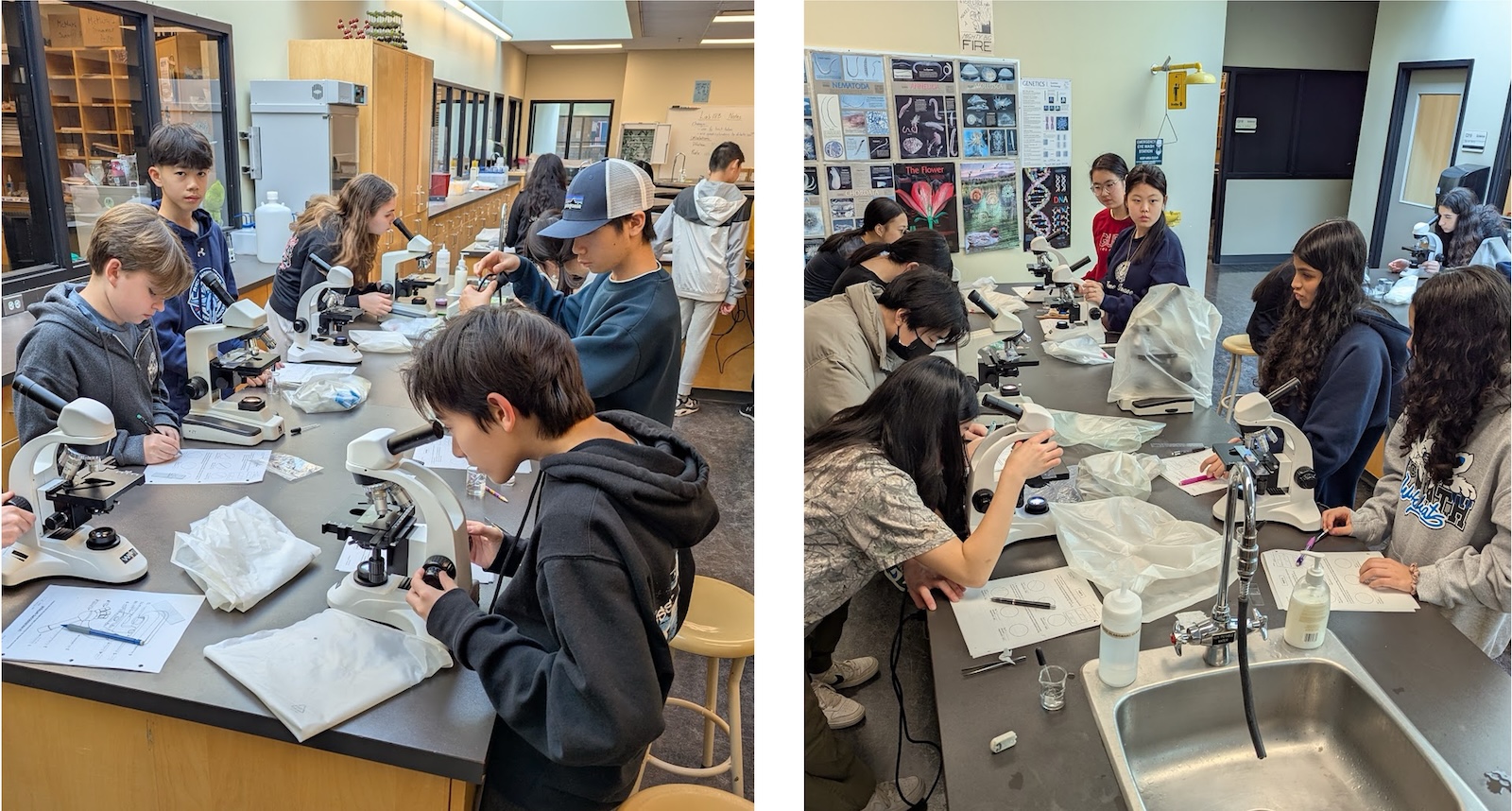 Students looking through microscopes in a classroom lab setting