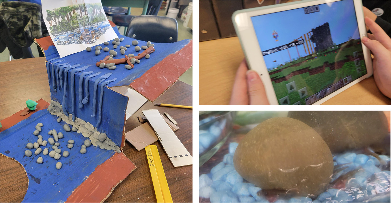 Salmonids in the Classroom program